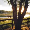 Sunset - Kruger National Park South Africa 2001.