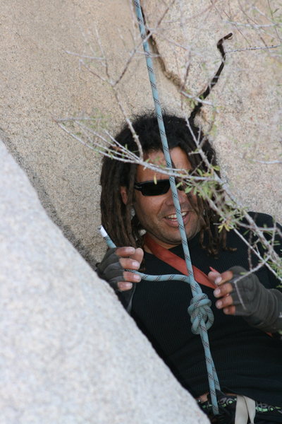 Rasta Raj having tree problems. Some times Dreds and trees don't mix.