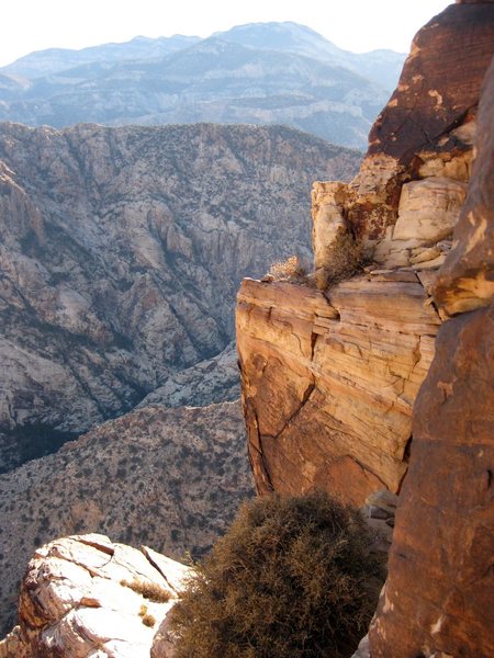 A nice view looking south towards Mt. Potosi from high up on Windy Peak.<br>
<br>
Taken 11/25/09