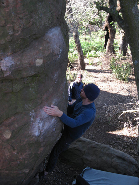 The excellent slopers that make up Paradise Blend. The problem goes up to the chalked sloper at the top of the picture, moves a little left, then on up to the top.