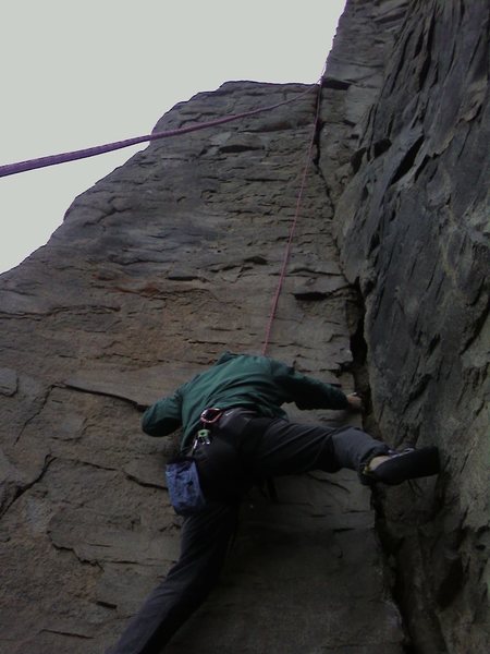 Jim Matthews on Coco's Lichen It