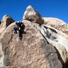 James topping out on Try-Tip Sandwich (V1), Joshua Tree NP 