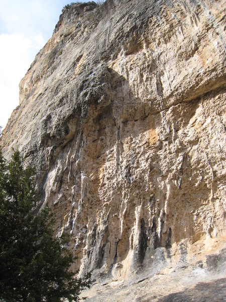 "Venin" starts behind the bush and angles up & right into the shaded right-facing corner, finishing up the slab above.