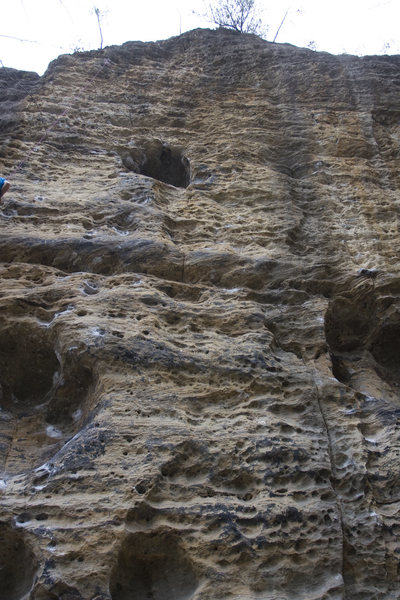 A typical wall at the Red, this one is the Solar Collector. Super steep and lots of pockets and jugs!! Fight the pump. The large holes are the side of a person and you can easily crawl inside of one for a rest.