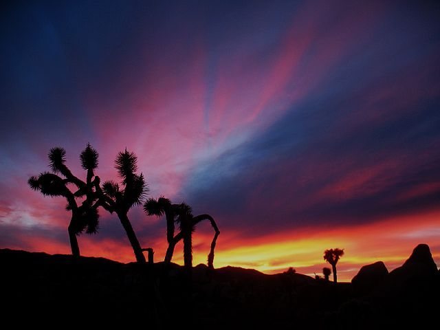 The first sunset of 2010, Joshua Tree NP