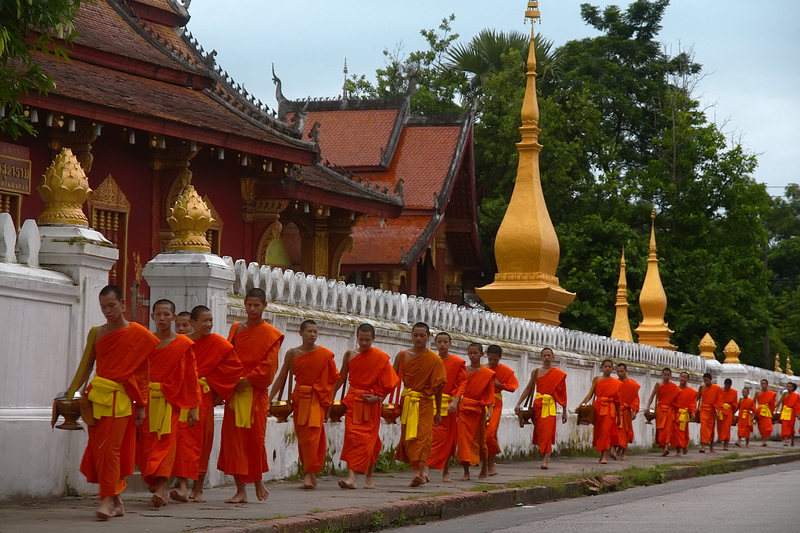 The monks of Luang Prabang lining up for their pre-dawn march through town to collect their morning alms.