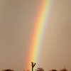 Rainbows are nice!<br>
Photo by Blitzo.