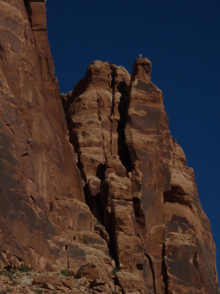 Sept. 27,2009. Notice the little figure on the very top. Hurray!