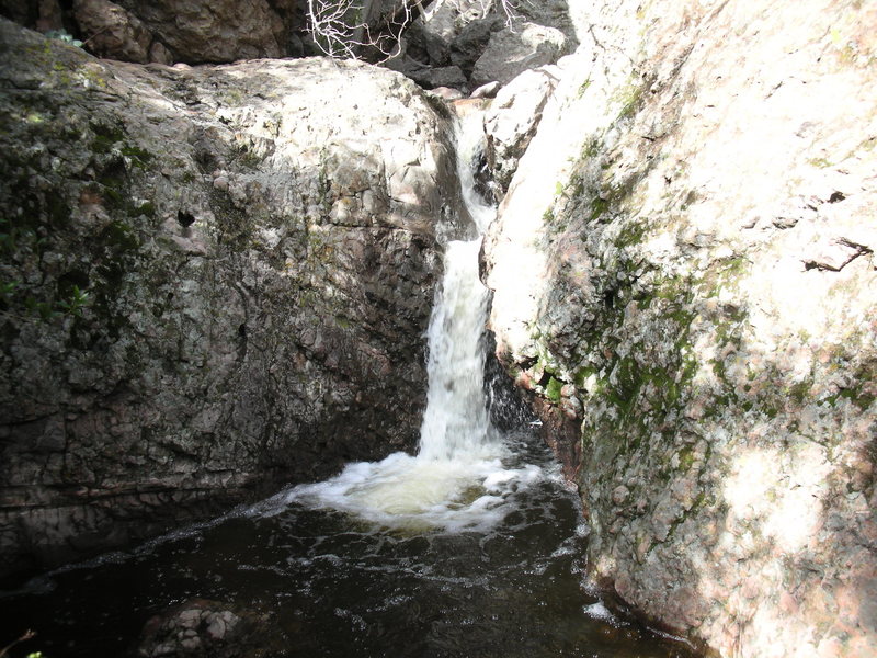 The streambed of Carlyle Canyon, in the Grotto, at Echo Cliffs in full flow after a week of wet weather.