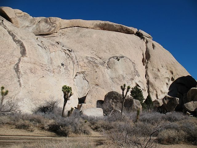 Fun in the sun on a January day, Joshua Tree NP <br>