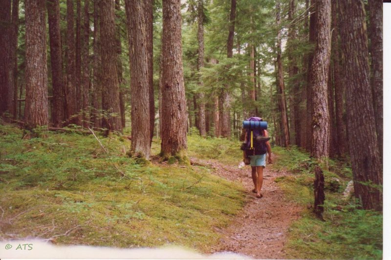 Self portrait hiking through the woods of Olympic Nat'l Park. Unfortunately, the camera caught the edge of the stump