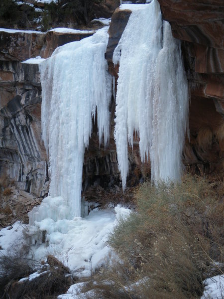 There is potential for a 50 ft. WI5 right next door. The icecicle behind the bush is about 6ft. from touching down.