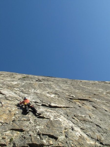 Pitch 9