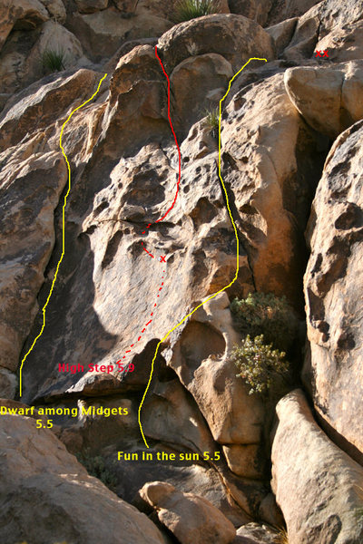 High Step
