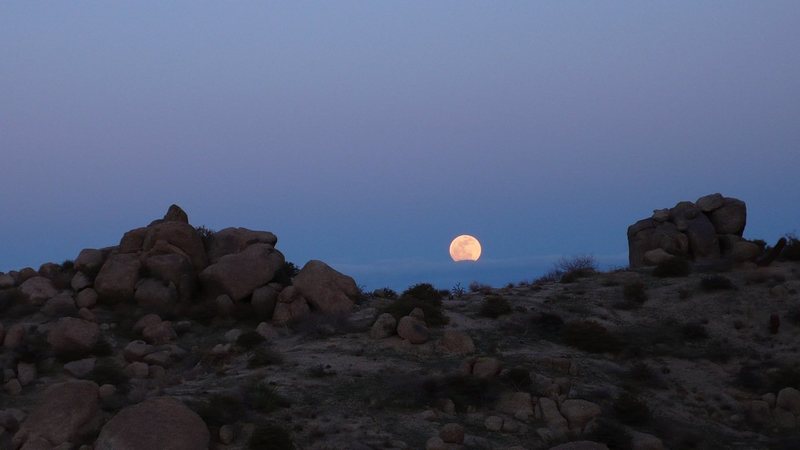 Full moon rise on the way back from Tom's Thumb, on the new trail. What a great birthday present -- the whole day out in the McDowells!!