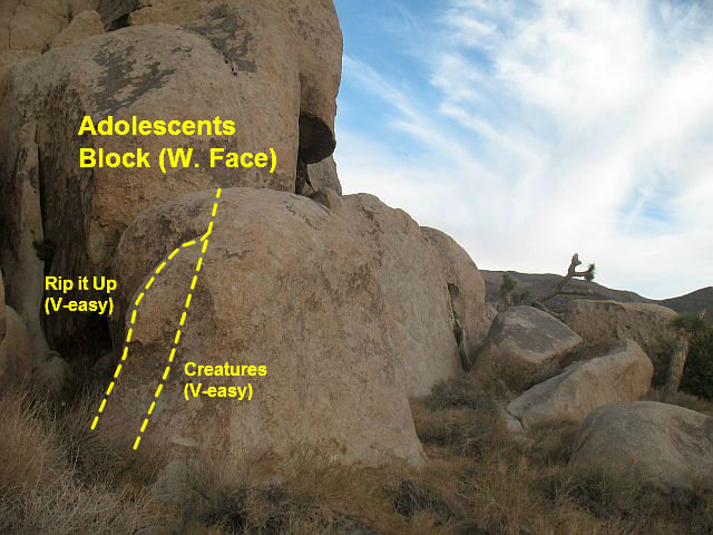Photo/topo for Adolescents Block (W. Face), Joshua Tree NP