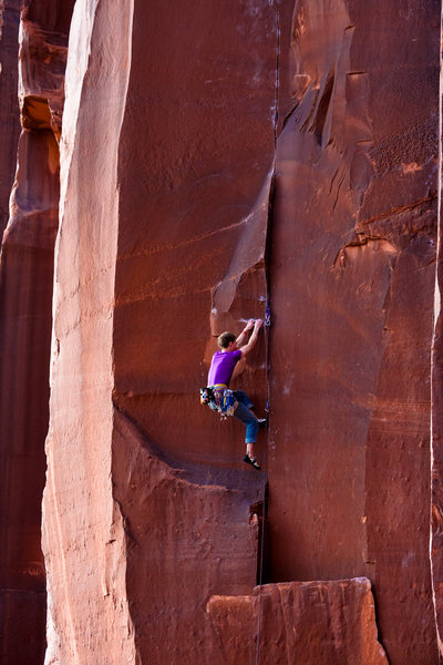 Burl Dog (5.12+)
