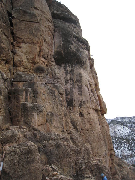 Manly Bulges powers over the right side of the bulging black streak.