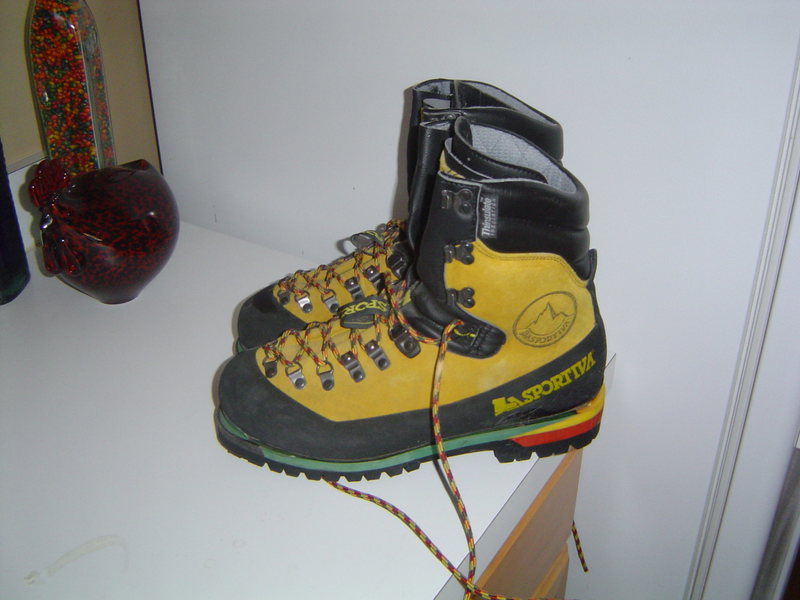 Nepal Extremes, European 42.5 I believe. The tongues says E 42.5 43.5. They fit my perfectly and I wear a size 9, US.