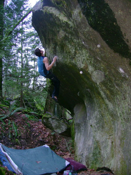 Marc-Andre Leclerc on Mesacorum V8