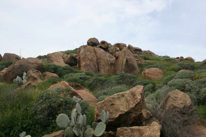 As seen from the road.