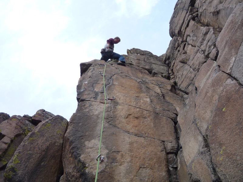 Near the top of the Rodent.