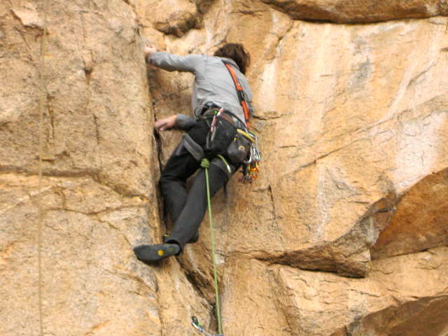 Cracker Jack on lead.