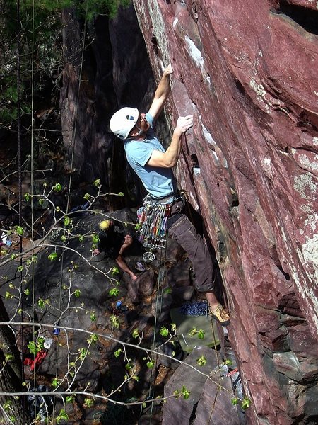 Found these pics of Sometime Direct, from April 09, photo Travis Melin.