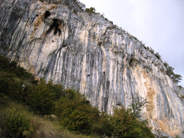Tina Dalle