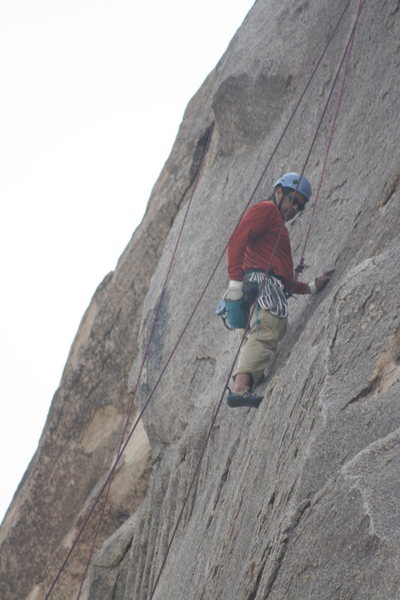 Albert on the Varnished Wall right of With Malice And Forethought. 3-21-10