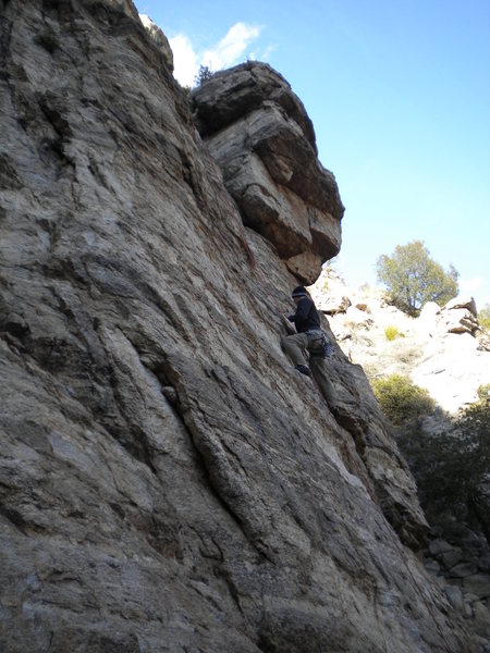 al on cell block 6