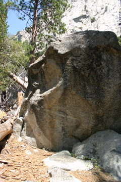 Brightside boulder. <br>
"Mr. Brightside" climbs the center face past the large rail.