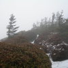 Summit of LeConte