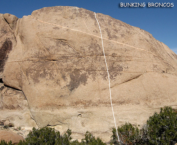 "Bunking Broncos".<br>
Photo by Blitzo.