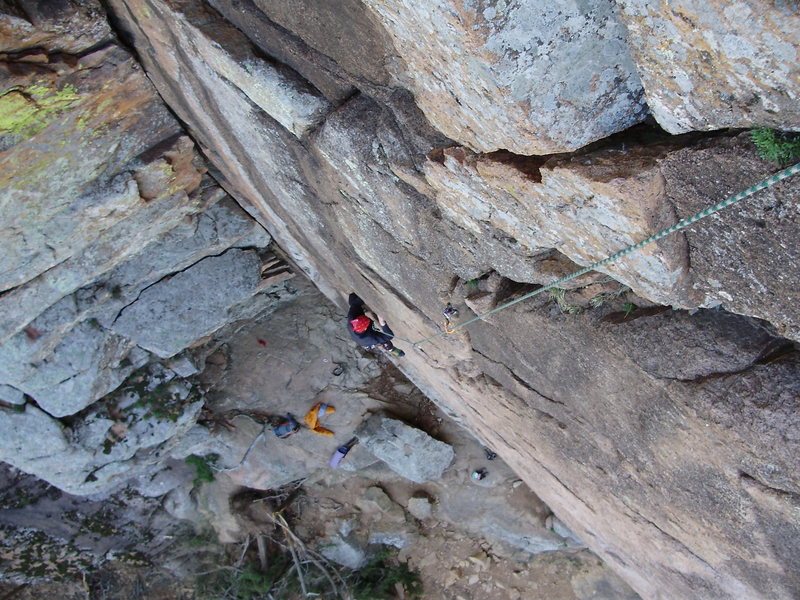 "Crazy Alice," March 2010