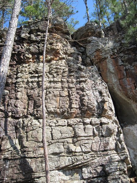 Top half of the route. Stay to the right of the small tree all the way to the anchors.