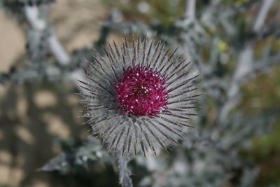 Watch out for these.