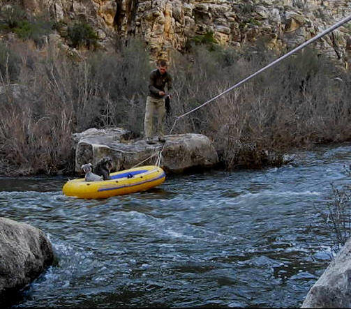 The boys riding out the creek crossing in Chevelon Canyon during high water.