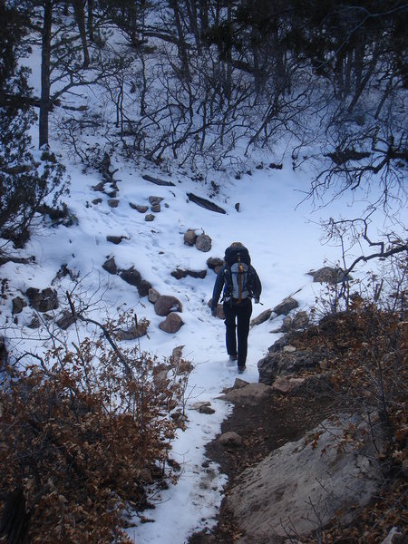Crossing the stream bed on the way back to the Bank parking lot on a beautiful February day.