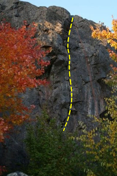 Here is the main line.