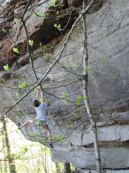 Crit hanging on