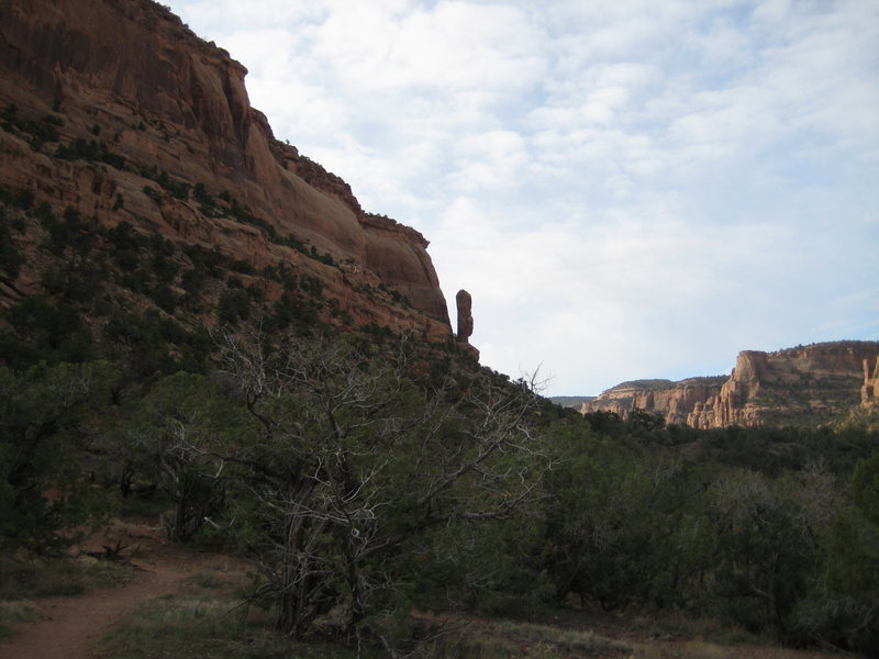 Phantom Spire from approach trail.