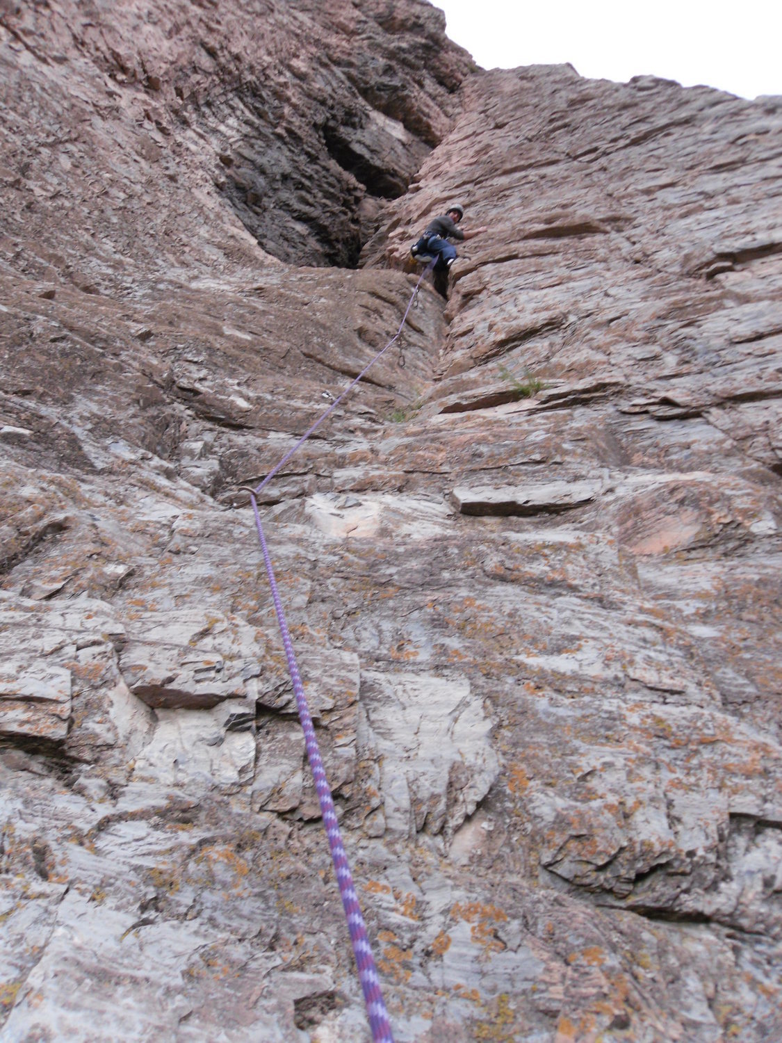Lionel leading the first pitch of hitchhikers guide to the galaxy.