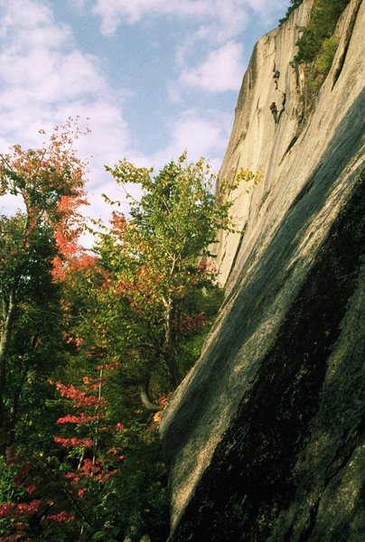 An early ascent of Green Party- Justin Preisendorfer collection