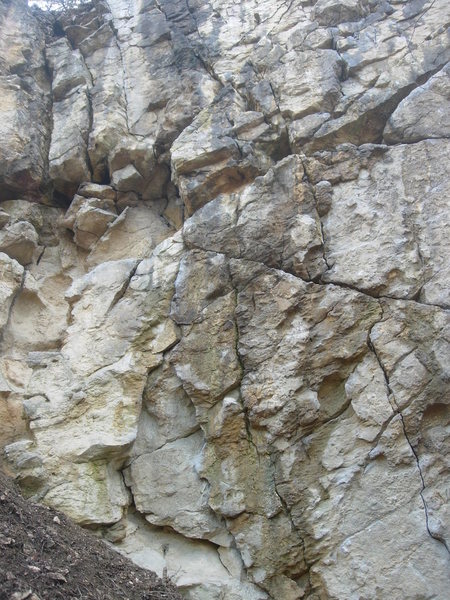 The left end of Sárga Fal. Bolted routes and a couple of top ropes possible.