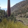 Mormon Tea, and the smelting stack of Panamint City.<br>
<br>
Taken 5/19/10