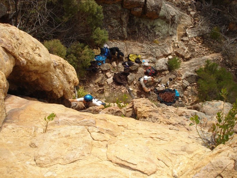 Pedro, an Australian 10 (5.5?)