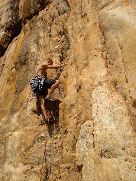 Elliot on The Golden Fleece