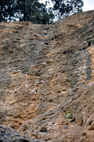 The upper half of the route from below, 'Verdures atomiques' heads straight up, while 'Lobo Lopez' 11d/7a branches up and right.