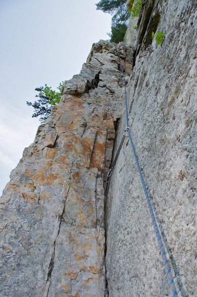On the first pitch of Le Gourmet.
